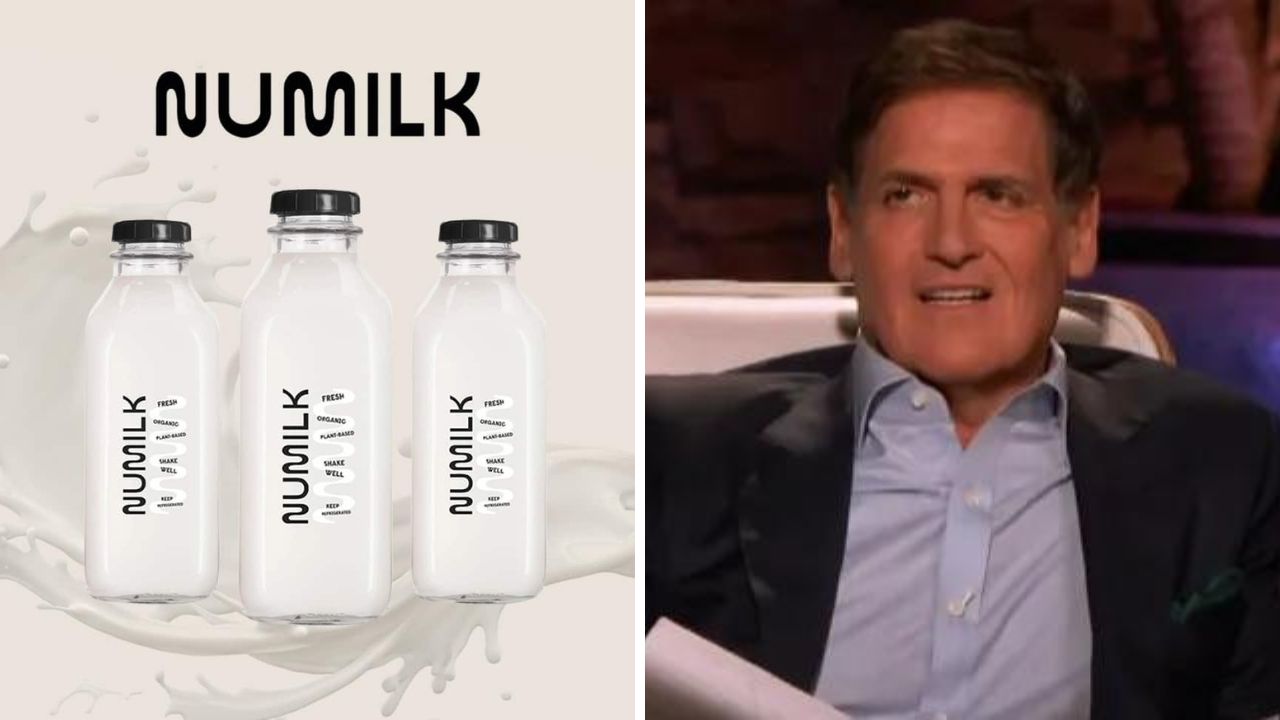 NuMilk Net Worth