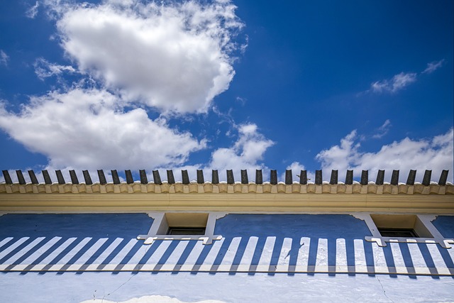 single ply membrane flat roof