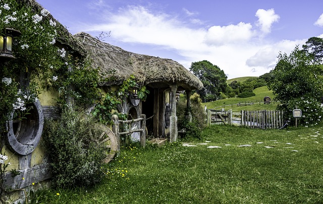 Living in New Zealand