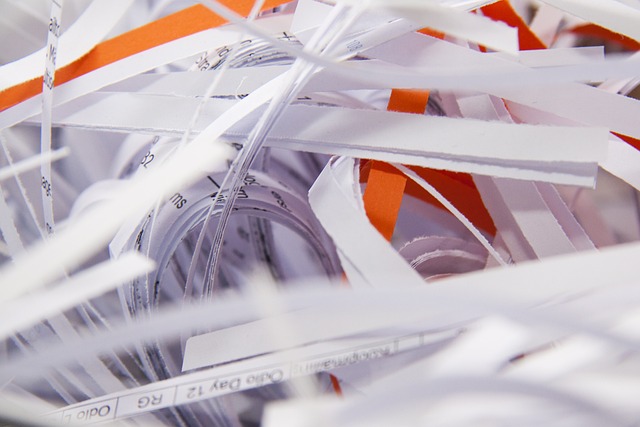 DIY vs. Professional Paper Shredding