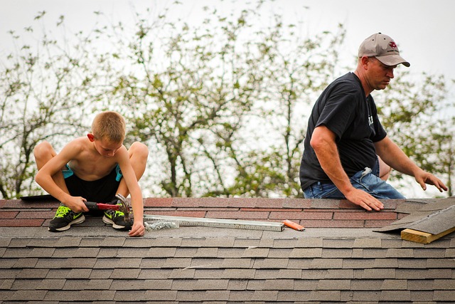 Metal roof lifespan