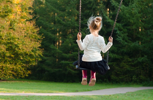 Playground Equipment